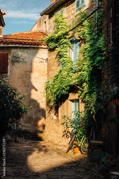 Obraz Old town street