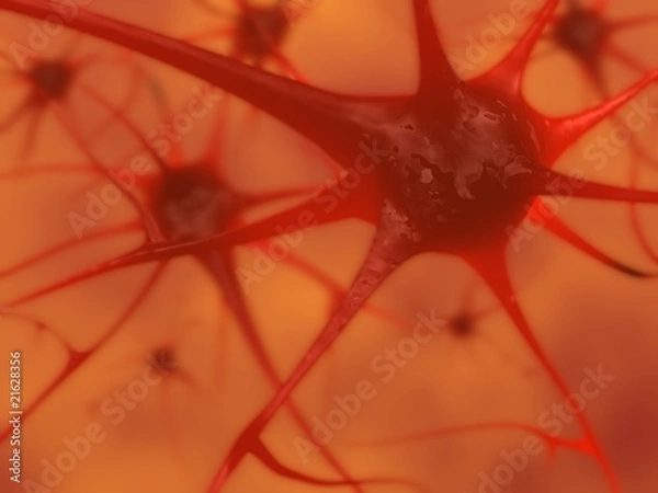 Obraz Neurons