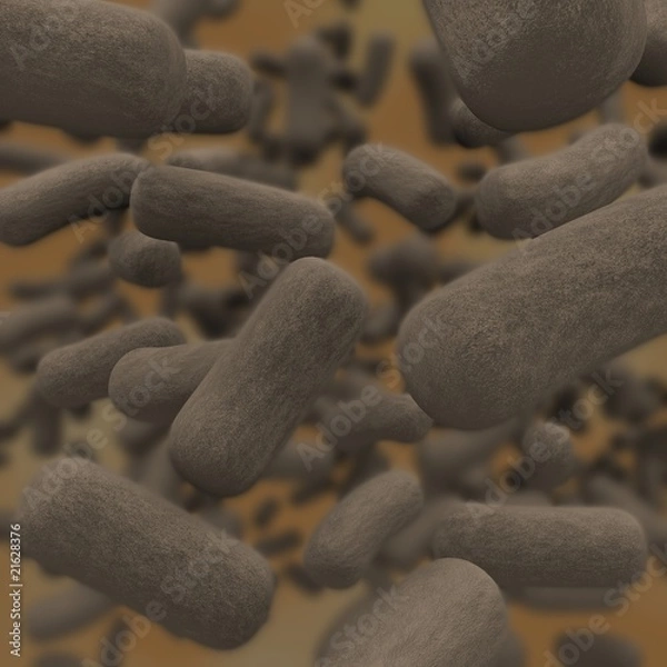 Obraz Bacteria