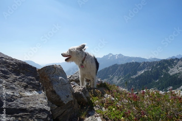 Obraz Landscapes of the Pacific Northwest, Washington State
