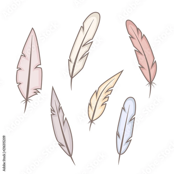 Fototapeta Set of abstract bright feathers on white background. Wild and free. Hand drawn vector illustration.