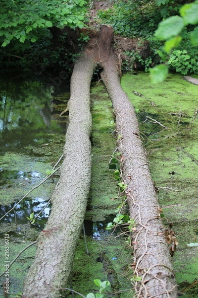 Obraz zwei Wege ein Ziel