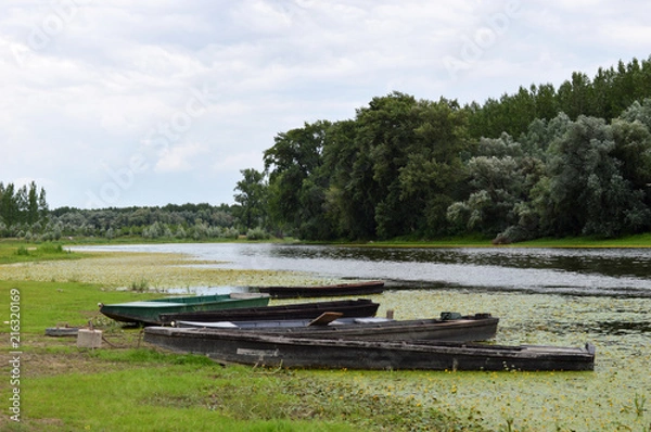 Obraz Beautiful Landscape of Several boats on Riverside in Nature Reserve