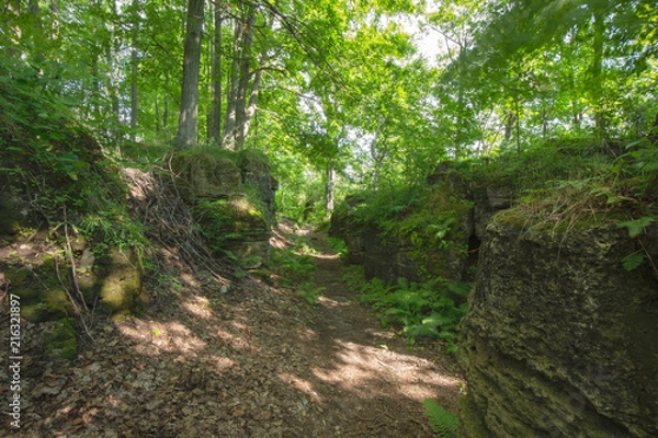 Fototapeta Crevice within the Bruce Trails Splitrock Narrows