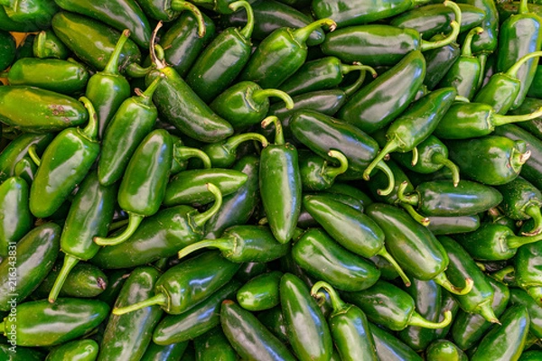 Obraz Pile of Jalapeno peppers for sale