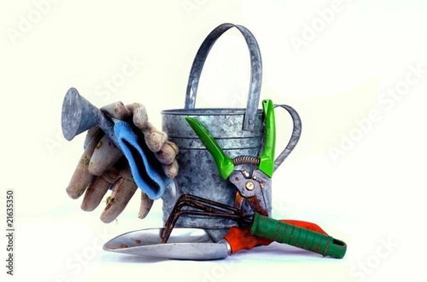 Fototapeta Garden tools with a watering can