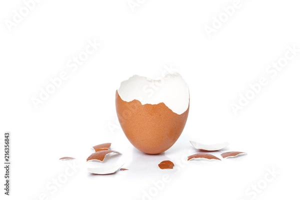 Obraz egg shell broken crack food on white background