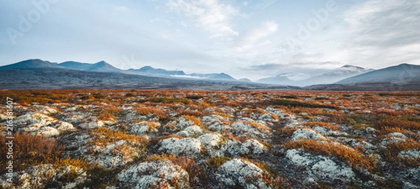 Obraz Norway Rondane Landscape