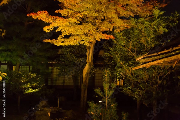 Obraz 紅葉の時期