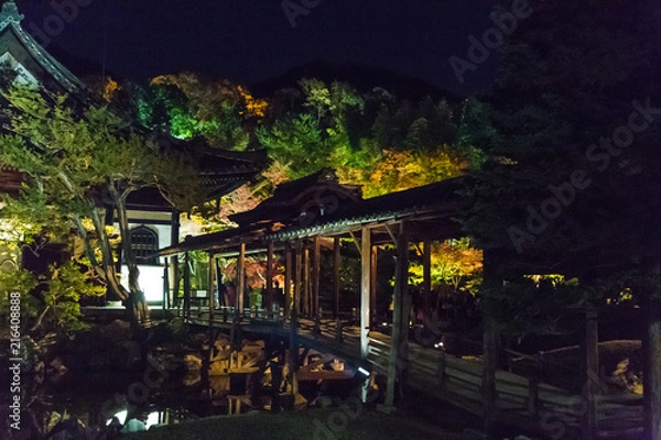 Obraz ライトアップ京都