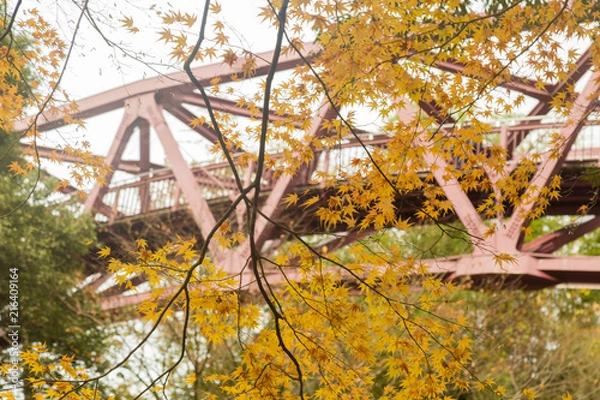Obraz 紅葉と橋