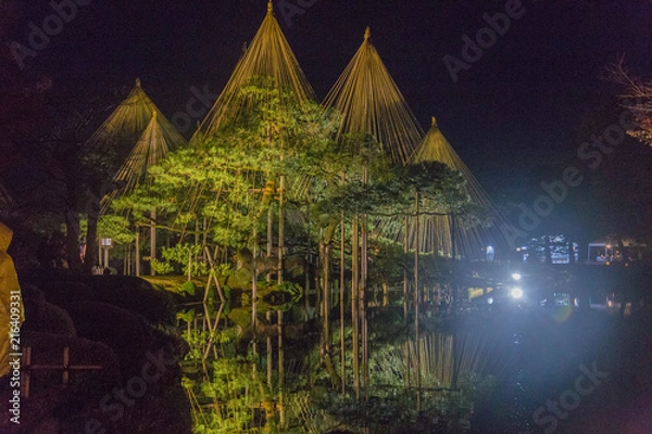 Obraz 夜の兼六園