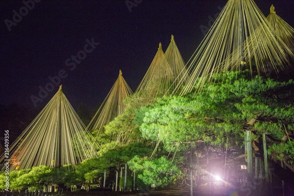 Obraz 兼六園の夜