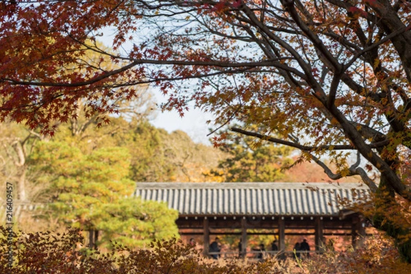 Obraz 建屋ともみじ