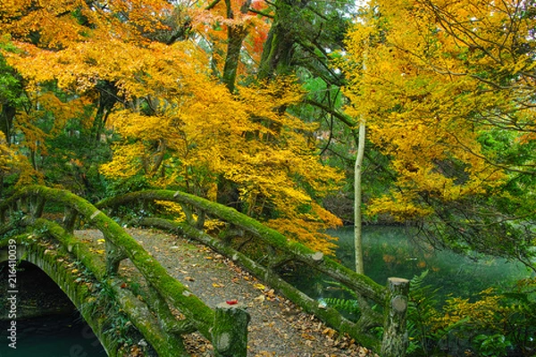 Fototapeta 紅葉の森と苔の生えた石橋
