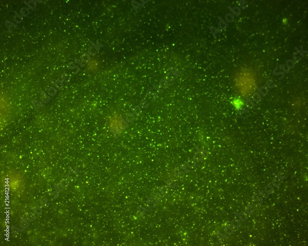 Fototapeta Micrography, microphotography of vesicles, particles or green fluorescent cells for scientific research, taken under a high-tech microscope. Fluorescence of curcumin and other fluorophores of interest