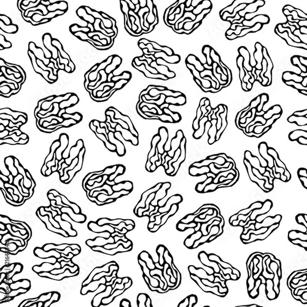 Fototapeta Walnut Seamless Endless Pattern. Whole Peeled Walnuts. Autumn or Fall Harvest Collection. Realistic Hand Drawn High Quality Vector Illustration. Doodle Style.