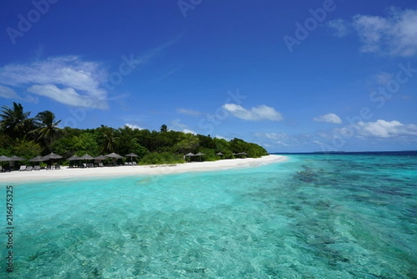 Fototapeta View of a beautiful beach with turquoise water in Baa Atoll, Maldives
