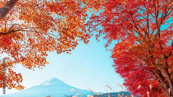 Obraz 富士山と紅葉 6