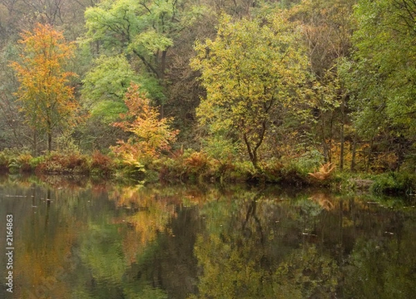 Fototapeta autumn scene