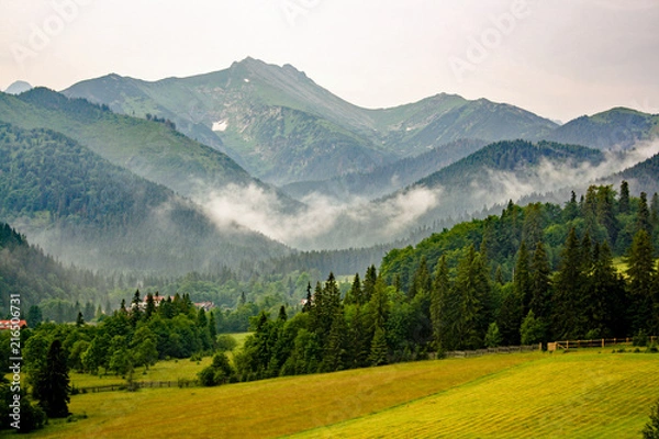 Obraz panorama from green beskid mountains ,high tatra, with green landscape and forest