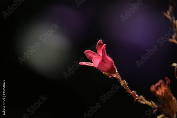 Obraz Farbe im Dunkel