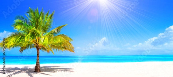 Obraz Surreal and wonderful dream beach with palm tree on white sand and turquoise ocean