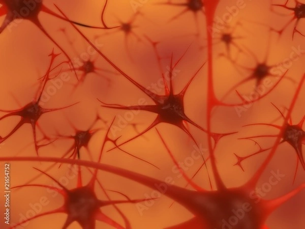 Obraz neurons in the brain