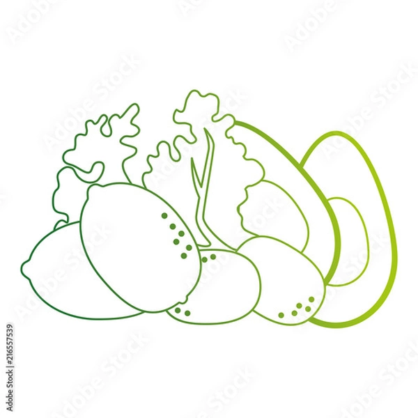 Fototapeta fresh lettuce with avocado and potatoes healthy food