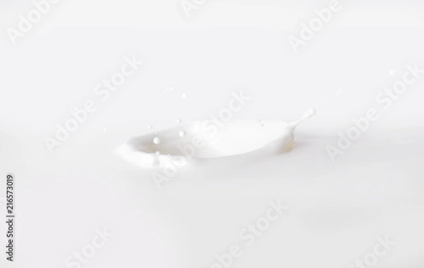 Obraz Milk Splash On White Background