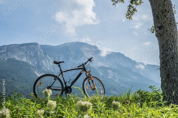 Fototapeta Fahrrad im Grünen