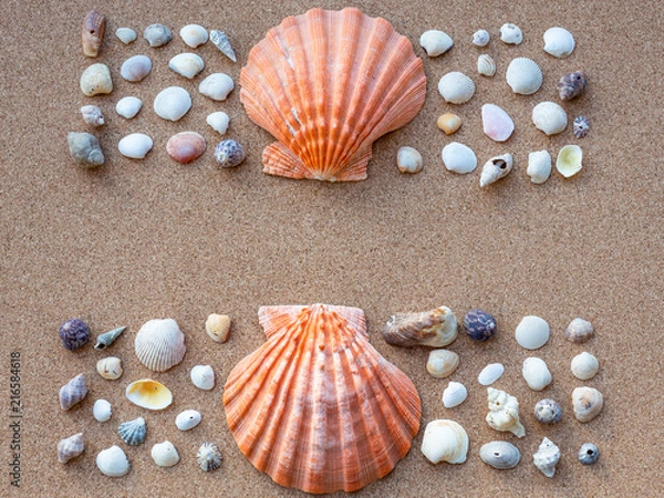 Obraz Shell background ZK