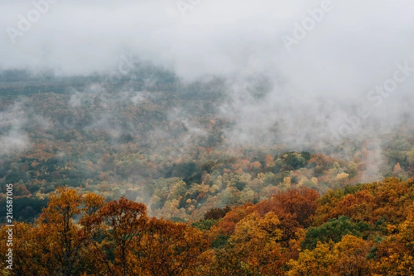 Fototapeta Foggy autumn view from the Blue Ridge Parkway, in Virginia.