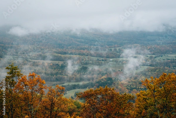 Fototapeta Foggy autumn view from the Blue Ridge Parkway, in Virginia.