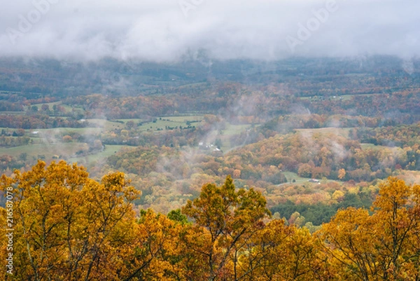 Fototapeta Foggy autumn view from the Blue Ridge Parkway, in Virginia.