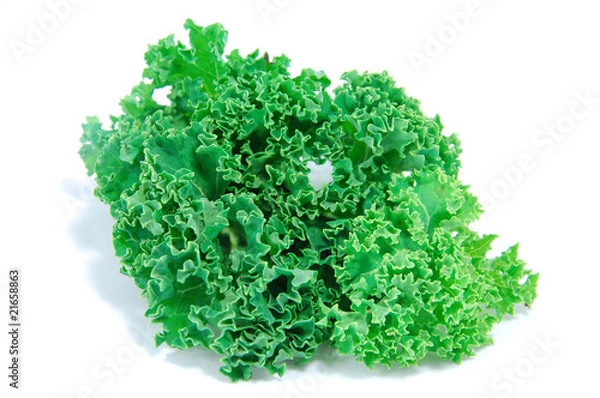 Obraz Kale leaves
