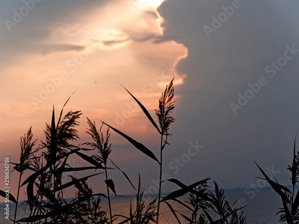 Fototapeta Sunset with clouds