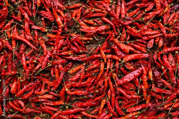 Fototapeta close up many dried chilli