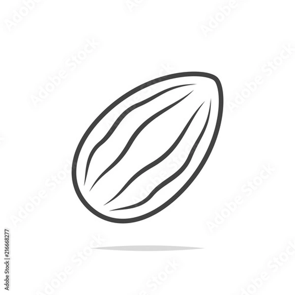 Obraz Almond line icon vector
