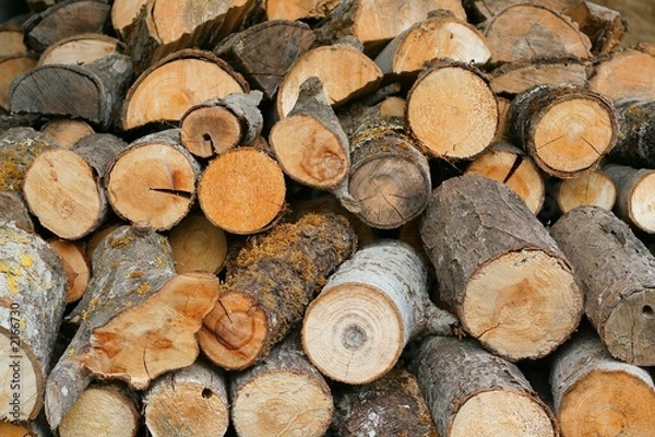 Obraz bois de chauffage