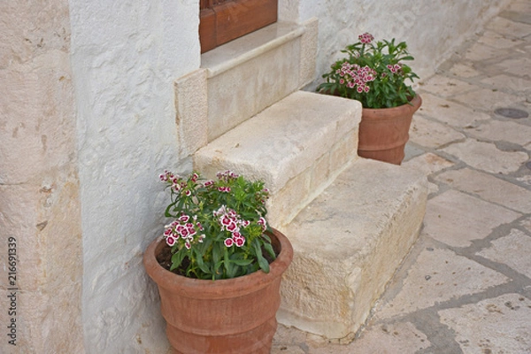 Fototapeta Italy, Puglia region, Locorotondo,  a whitewashed village in the Itria valley, with its medieval historical center full of stairs, balconies, flowers, arches, frescoed churches, and details
