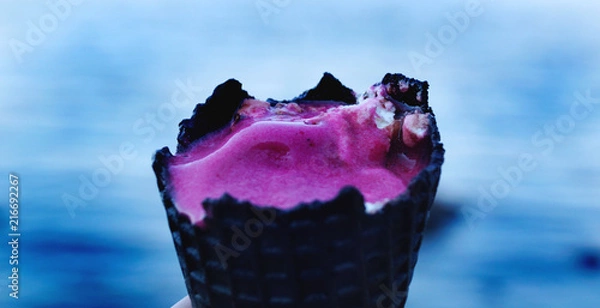 Obraz Сладкий рожок на берегу Финского залива