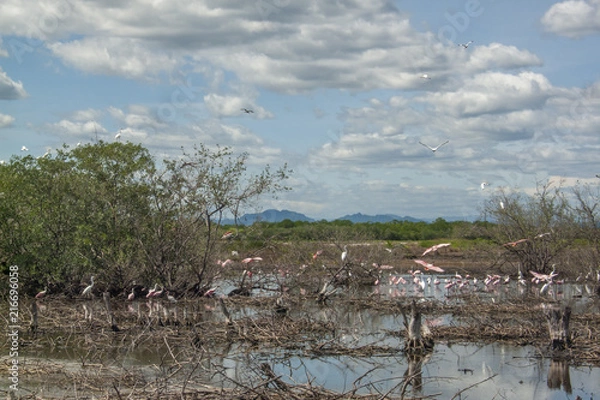 Fototapeta The countryside landscapes at rural areas of Honduras, lagoons and meadows a green and cloudy scene. Choluteca, Honduras