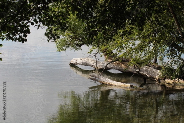 Obraz Idylle am Plöner See
