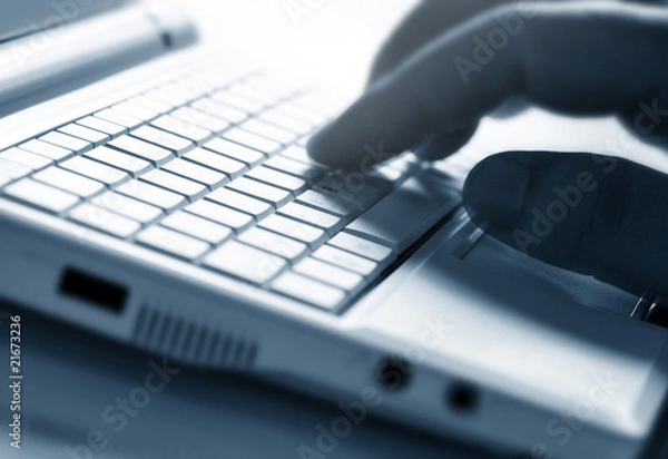 Obraz Working with the laptop