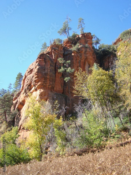 Obraz View of Red Rocks in West Fork of Oak Creek Canyon