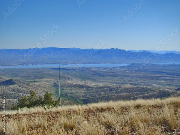 Fototapeta Scenic View of Roosevelt Lake in Desert in Arizona