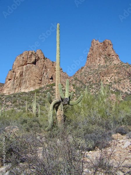 Obraz Volcanic Cones on Dutchmans Trail in the Superstitions