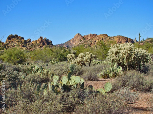 Obraz View on Garden Valley Trail in Superstition Wilderness