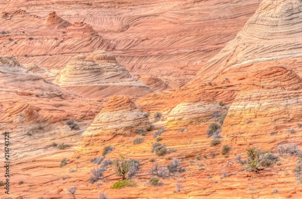 Fototapeta The Wave in Arizona. A magical place to visit!